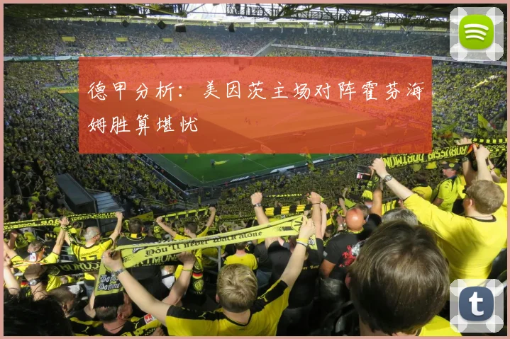 德甲分析：美因茨主场对阵霍芬海姆胜算堪忧