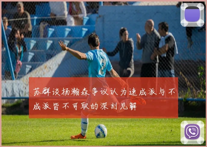 苏群谈杨瀚森争议认为速成派与不成派皆不可取的深刻见解