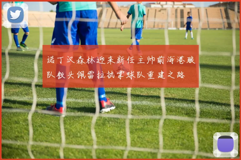 诺丁汉森林迎来新任主帅前海港狼队教头佩雷拉执掌球队重建之路
