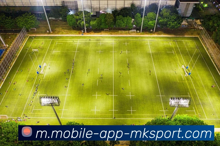 MK体育APP 高清赛事图